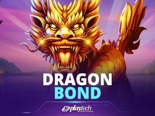 Dragon Bond game cover